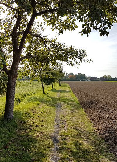 sauberes-dorf-heiden